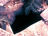 VALPONASCA_01_06_thumb.gif